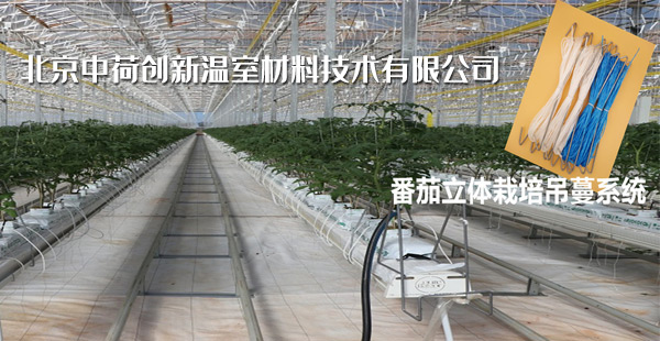 北京中荷创新温室材料金沙备用网址有限公司